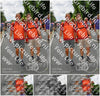 Evenement foto: Nijmeegse Vierdaagse 1139