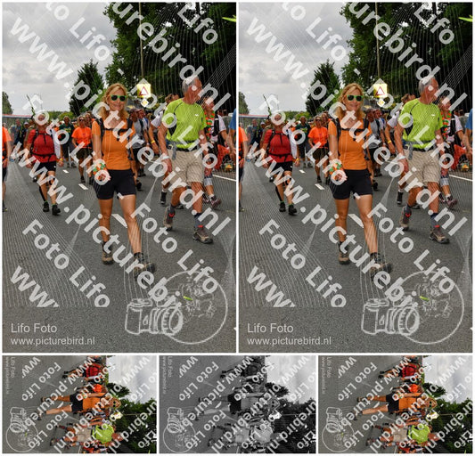 Evenement foto: Nijmeegse Vierdaagse 1139