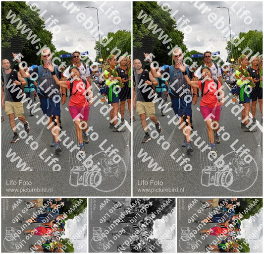 Evenement foto: Nijmeegse Vierdaagse 1139