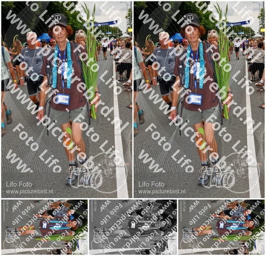 Evenement foto: Nijmeegse Vierdaagse 1139