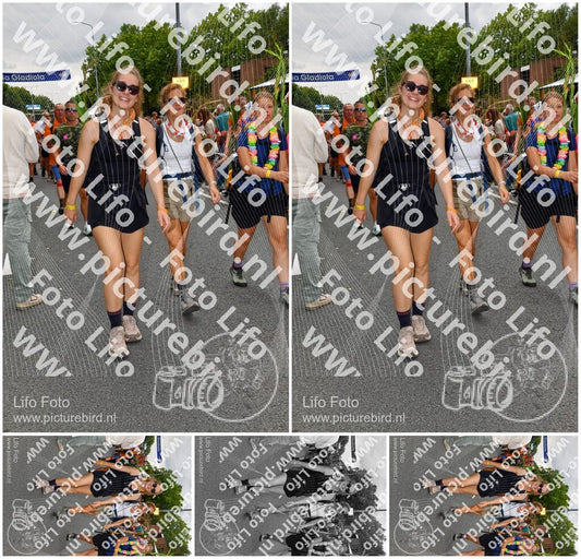 Evenement foto: Nijmeegse Vierdaagse 1139