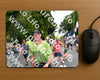 Evenement foto: Nijmeegse Vierdaagse 1138