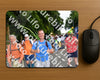 Evenement foto: Nijmeegse Vierdaagse 1138