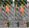 Evenement foto: Nijmeegse Vierdaagse 1138