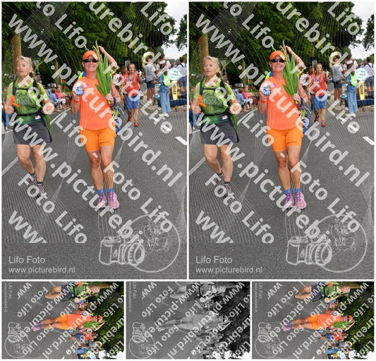 Evenement foto: Nijmeegse Vierdaagse 1138