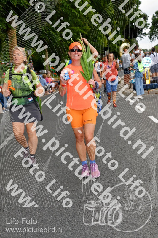 Evenement foto: Nijmeegse Vierdaagse 1138