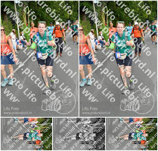 Evenement foto: Nijmeegse Vierdaagse 1138