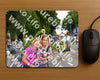 Evenement foto: Nijmeegse Vierdaagse 1138