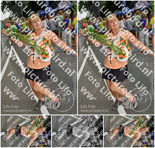 Evenement foto: Nijmeegse Vierdaagse 1138