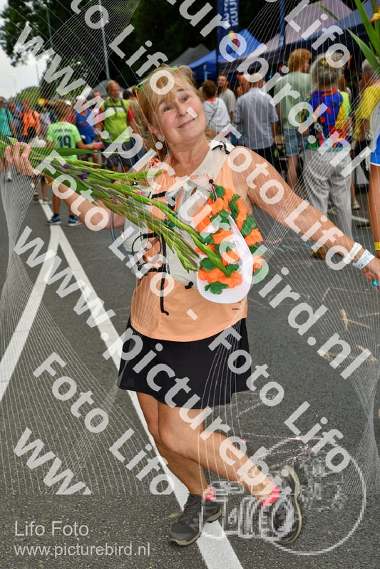 Evenement foto: Nijmeegse Vierdaagse 1138