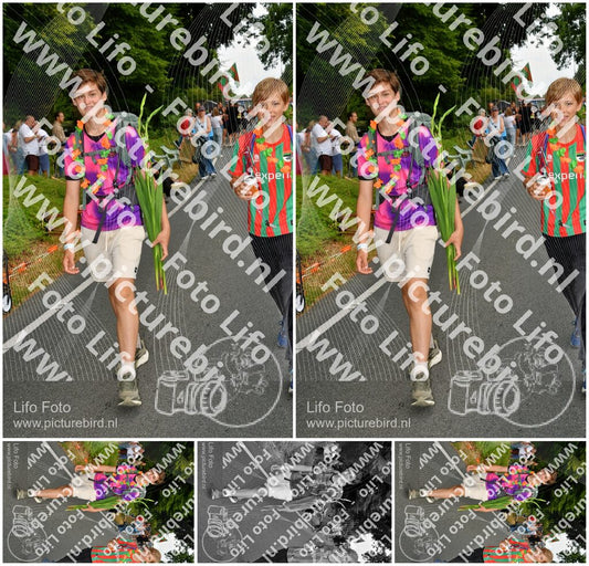 Evenement foto: Nijmeegse Vierdaagse 1138