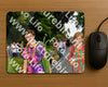 Evenement foto: Nijmeegse Vierdaagse 1138