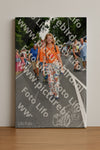 Evenement foto: Nijmeegse Vierdaagse 1138