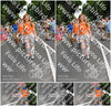 Evenement foto: Nijmeegse Vierdaagse 1138