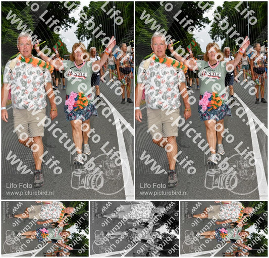 Evenement foto: Nijmeegse Vierdaagse 1138