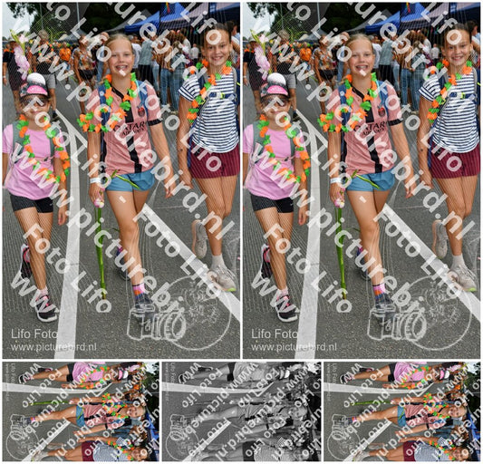 Evenement foto: Nijmeegse Vierdaagse 1138