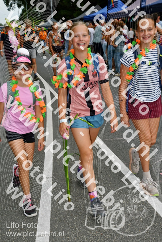 Evenement foto: Nijmeegse Vierdaagse 1138