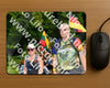Evenement foto: Nijmeegse Vierdaagse 1138