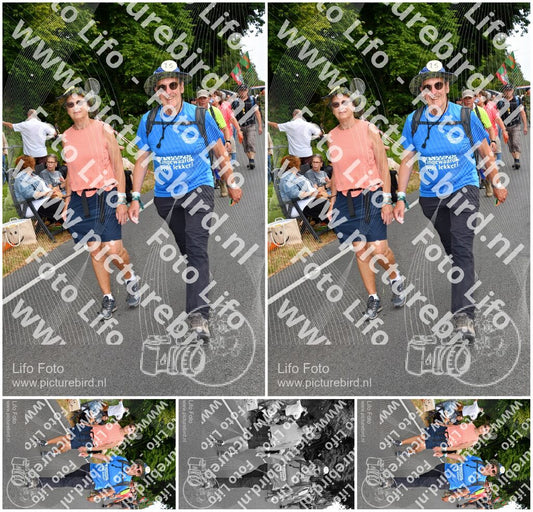 Evenement foto: Nijmeegse Vierdaagse 1138