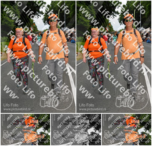 Evenement foto: Nijmeegse Vierdaagse 1138