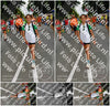 Evenement foto: Nijmeegse Vierdaagse 1138