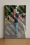 Evenement foto: Nijmeegse Vierdaagse 1138
