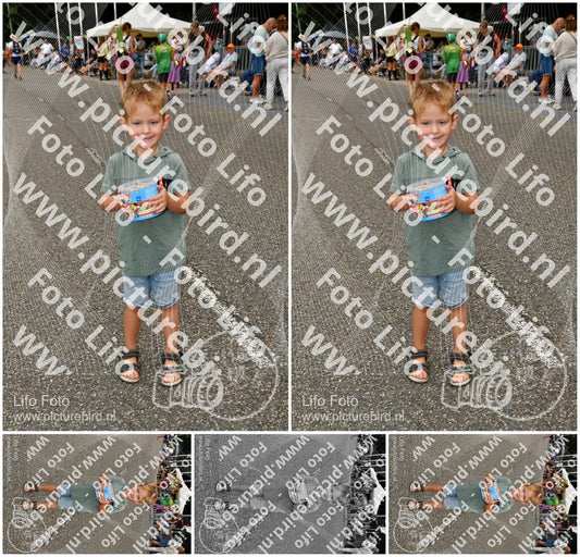 Evenement foto: Nijmeegse Vierdaagse 1137