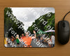 Evenement foto: Nijmeegse Vierdaagse 1137