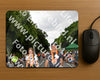 Evenement foto: Nijmeegse Vierdaagse 1137