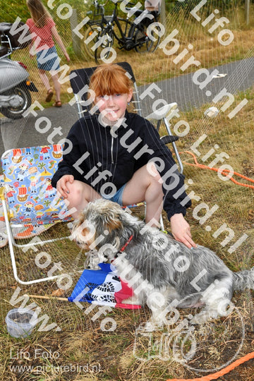 Evenement foto: Nijmeegse Vierdaagse 1136