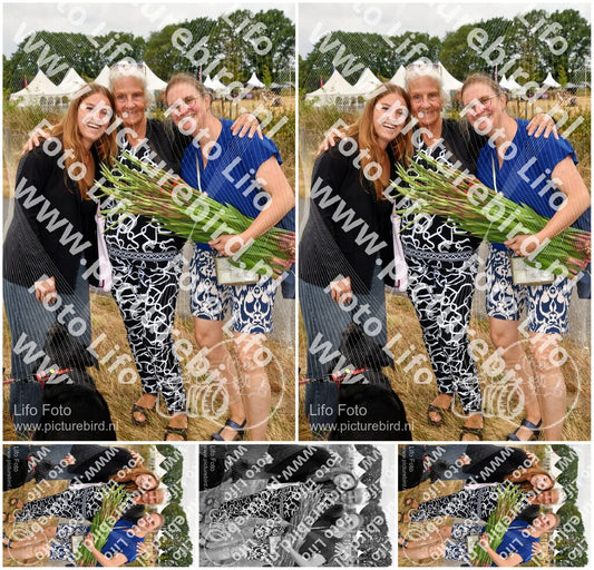 Evenement foto: Nijmeegse Vierdaagse 1136