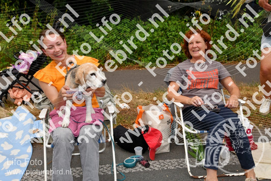 Evenement foto: Nijmeegse Vierdaagse 1136