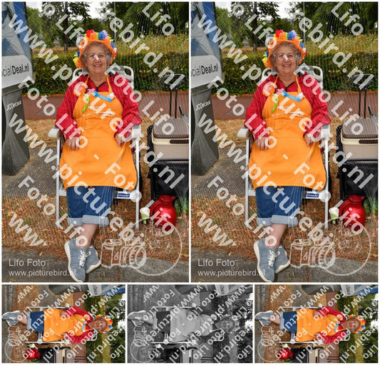 Evenement foto: Nijmeegse Vierdaagse 1135