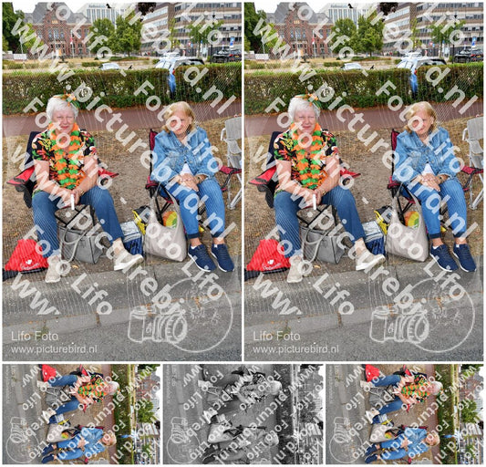 Evenement foto: Nijmeegse Vierdaagse 1135