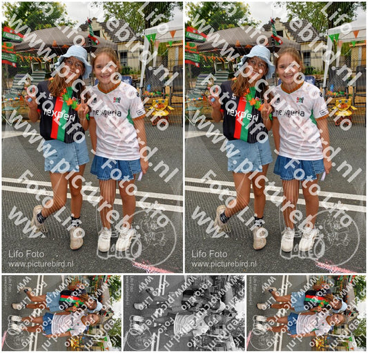 Evenement foto: Nijmeegse Vierdaagse 1135