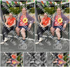 Evenement foto: Nijmeegse Vierdaagse 1135