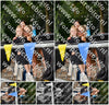 Evenement foto: Nijmeegse Vierdaagse 1135