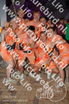 Evenement foto: 2646