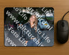 Evenement foto: 2645