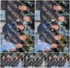 Evenement foto: 2645