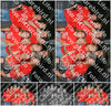 Evenement foto: 2645