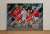 Evenement foto: 2645