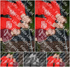 Evenement foto: 2645