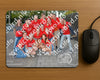 Evenement foto: 2644