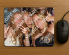 Evenement foto: 864