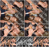 Evenement foto: 864