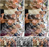 Evenement foto: 863