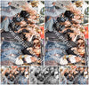 Evenement foto: 863