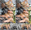 Evenement foto: 863
