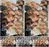 Evenement foto: 862